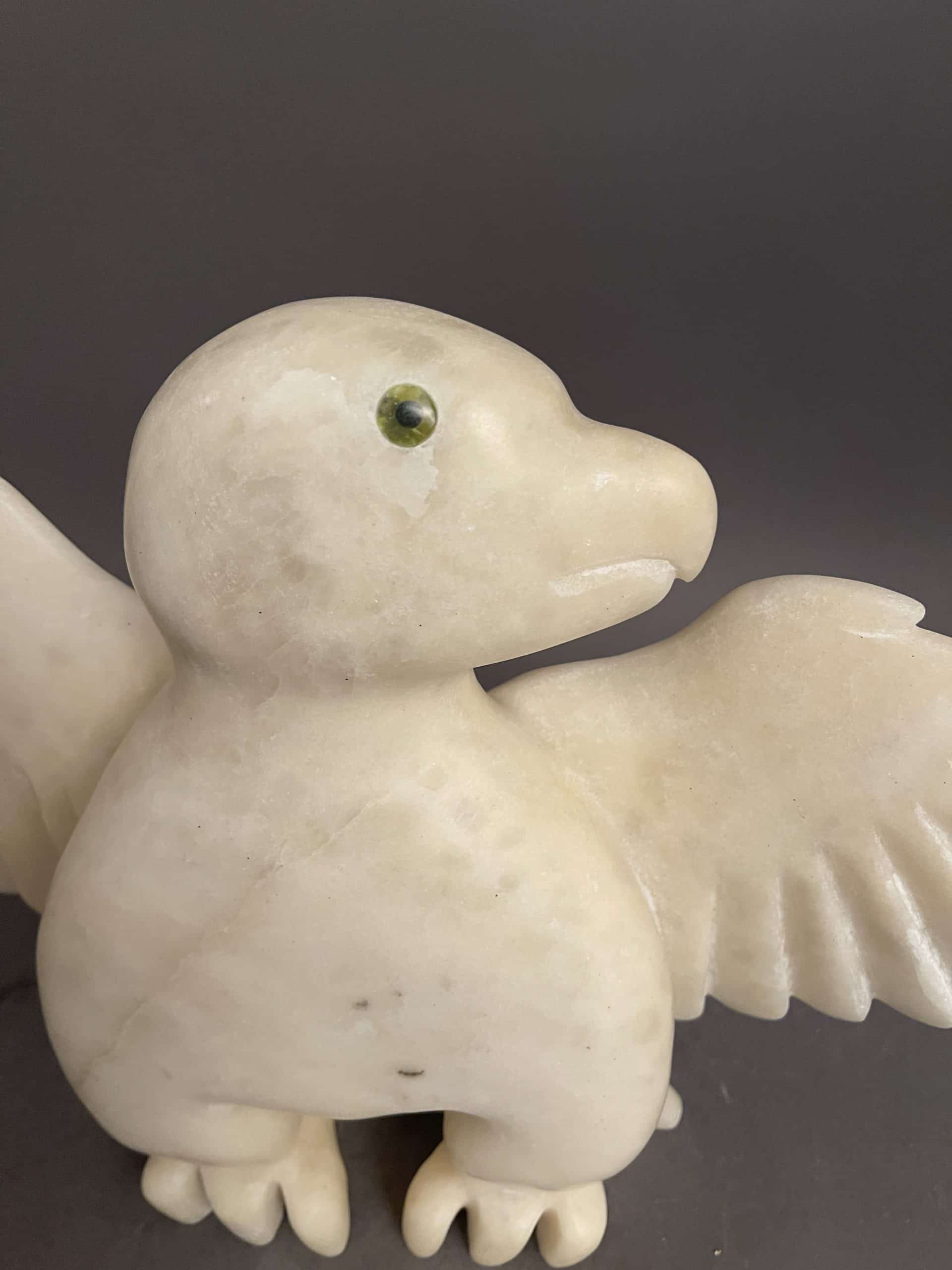 Owl _ Toonoo Sharky Owl _ Toonoo Sharky