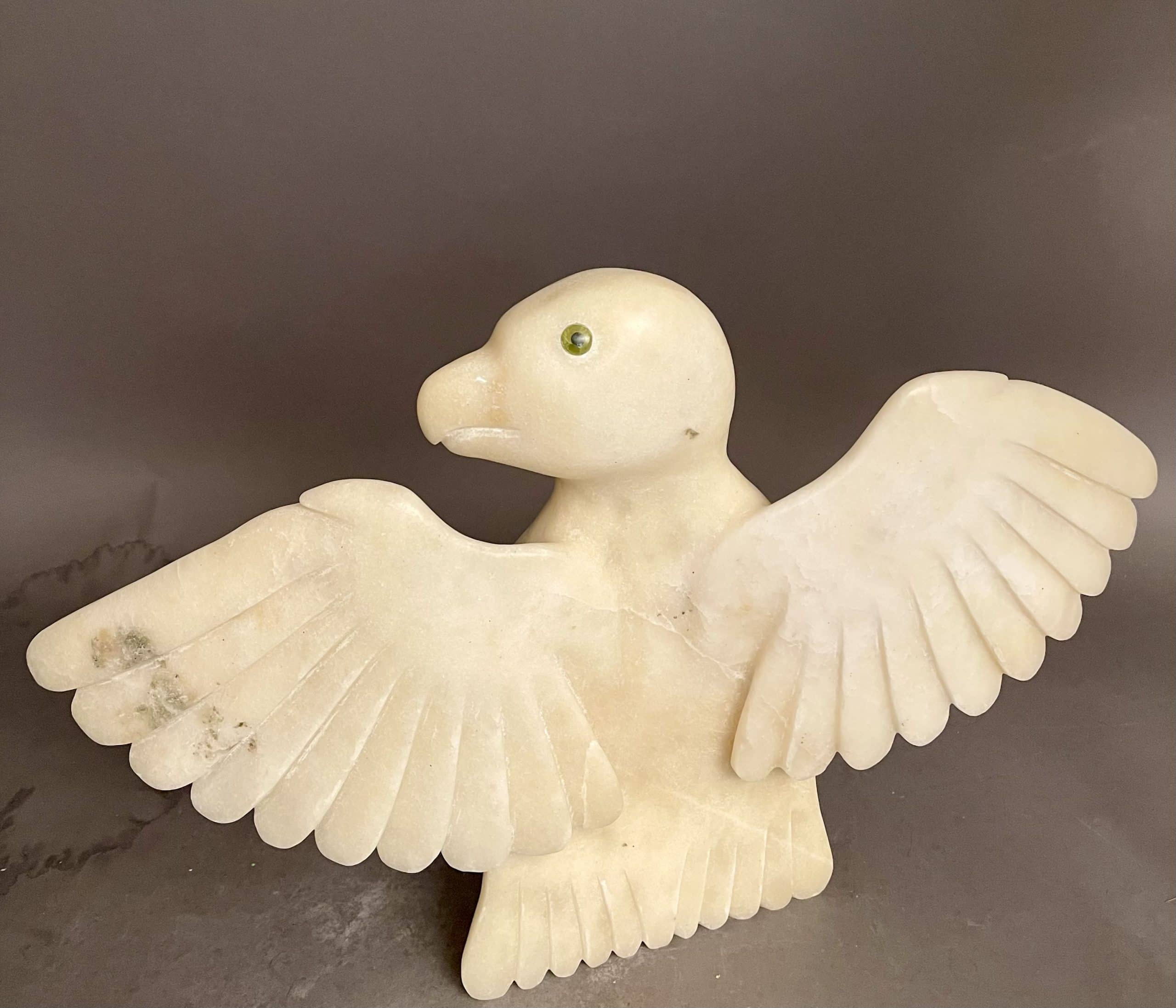 Owl _ Toonoo Sharky Owl _ Toonoo Sharky