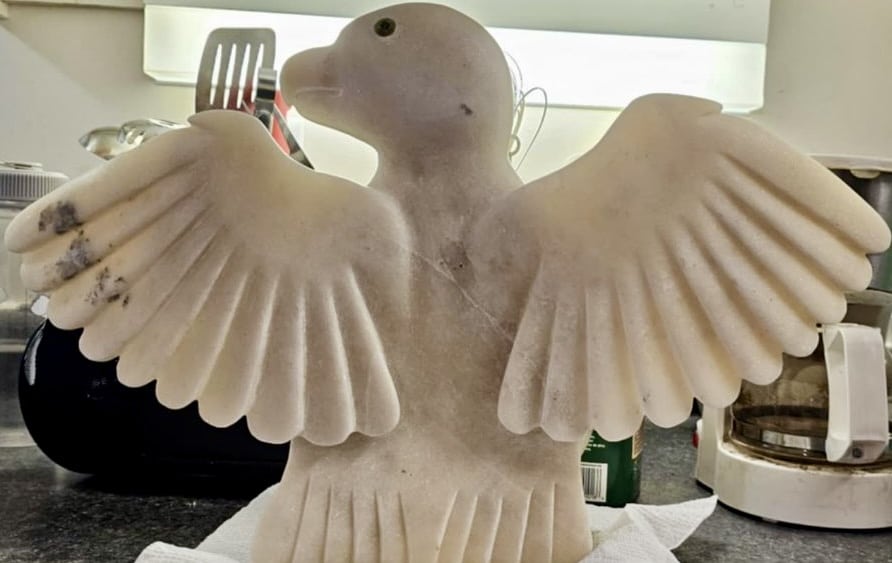 Owl _ Toonoo Sharky Owl _ Toonoo Sharky